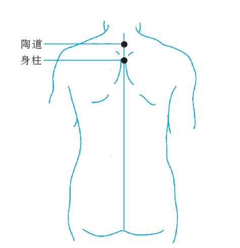 中柱穴|身柱